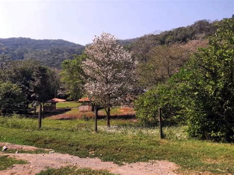 Calor E Umidade Podem Provocar Chuvas Mas Ms Deve Registrar Altas