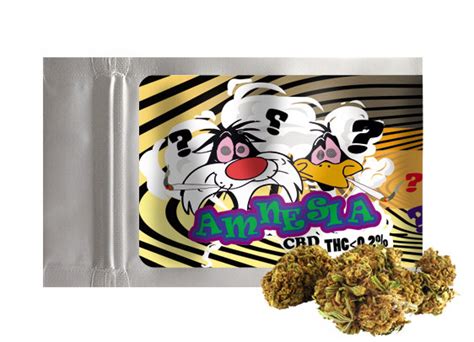 Susz Konopny Kush Cbd Amnesia 1G Badania Sklep EMPIK