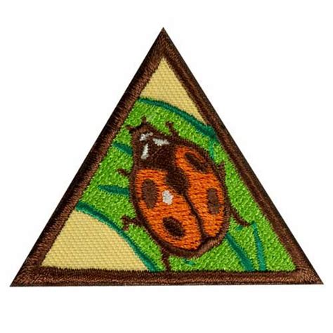 Brownie Bugs Badge Girl Scout Brownie Badges Daisy Girl Scouts