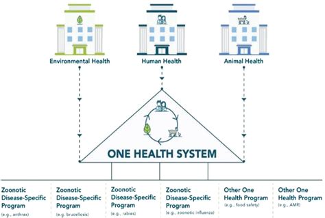 One Health Approach For The Control Of Zoonotic Diseases Scienceopen