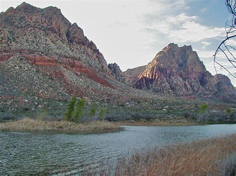 Where Earth Meets Water The Wonder Of Nevada Wetlands Pahrump Valley