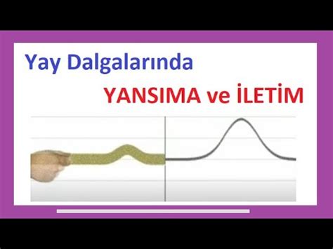 Yay Dalgalarında YANSIMA ve İLETİM Deney Simülasyon PDF YouTube