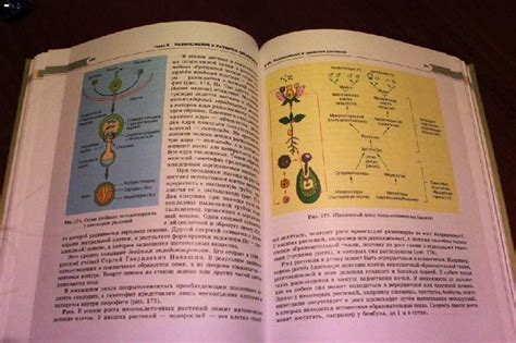 Книга: Биология. Биологические системы и процессы. 10 класс. Учебник ...
