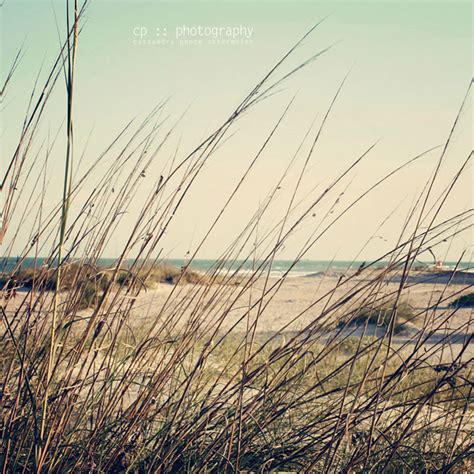 sassafras: daydreaming of the beach :: photography