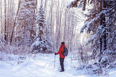 Trasy Nordic Walking Do Km Od Che Mna Podpowiedzi Ciekawych Tras Na