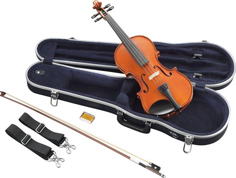 Best Violin Brands: Top 5 for Those on a Budget - Musiicz (2022)