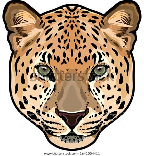 Leopard Head Vector Panthera Pardus Big Vector De Stock Libre De