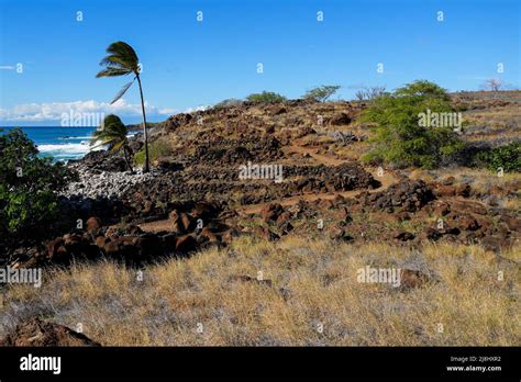 Ruins Of Traditional Hawaiian Houses Hale In The Ancient Fishing