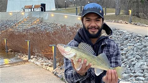 Ottawa River Walleye Fishing Youtube