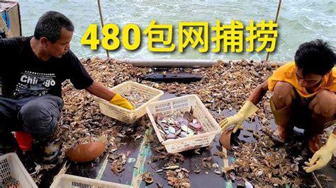 深圳帅哥480包网捕捞，这收获大家觉得划算吗【豪哥深海捕捞】 Youtube