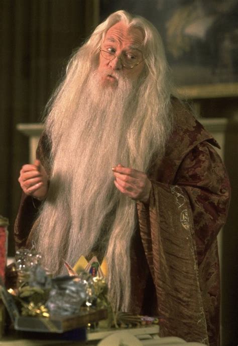 Dumbledore Harry Potter And The Philosophers Stone 2001 Harry