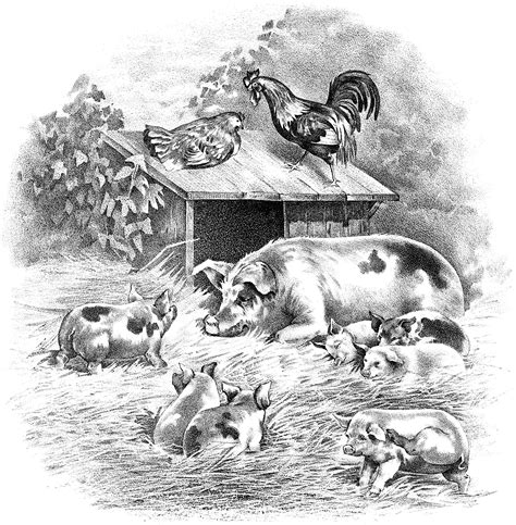 14 Farm Scene Clipart Black And White In 2021