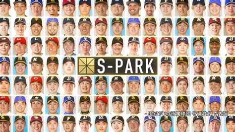 【プロ野球100人分の1位】現役選手100人が選ぶスピードボールナンバー1をs Park独自調査2021｜fnnプライムオンライン