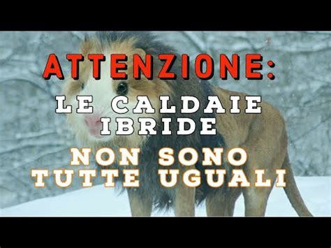 ATTENZIONE LE CALDAIE IBRIDE NON SONO TUTTE UGUALI YouTube