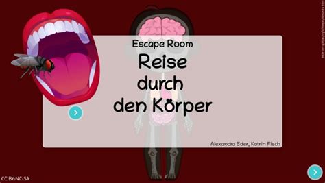 Escape Room Reise Durch Den K Rper