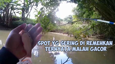 Pakai Cara Ini Mancing Wader Biar Gak Boncos Pasti Plung Nyot Youtube