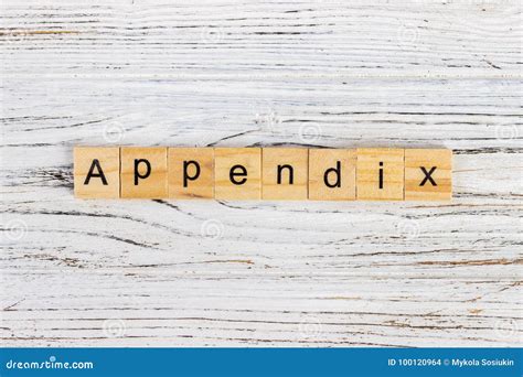 Appendix Word Made With Wooden Blocks Concept Stock Photo Image Of