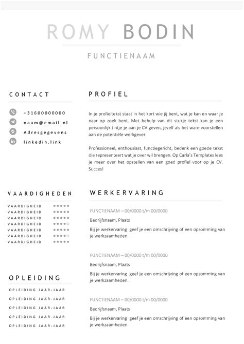 Cv Voorbeeld Word Professionele Gratis CV Templates