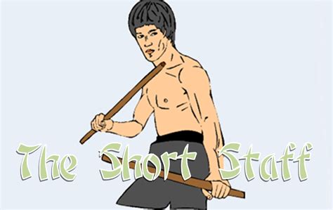 Short Staff For Video Rothrock S Kung Fu Tai Chi