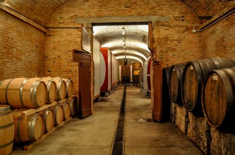 Exploring Wineries In Italy During Cantine Aperte Travel Addicts