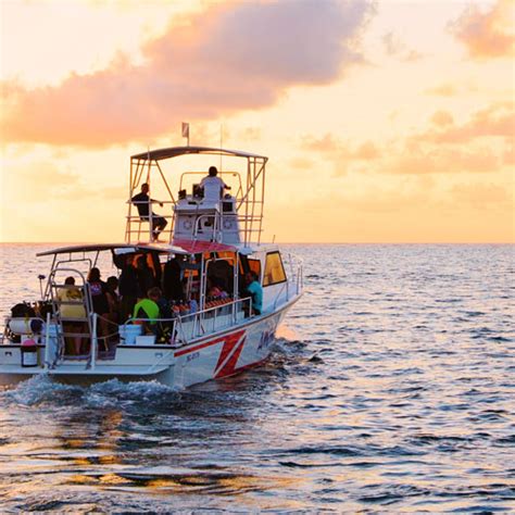 San Pedro Belize Snorkeling Tours | Hol Chan | Shark Ray Alley