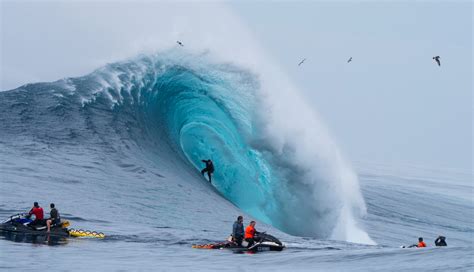 White Sharks And 60 Foot Perfection At The Cortes Bank Session Of The