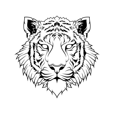 Tiger Line Vector Art, Icons, and Graphics for Free Download