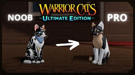 Morphs Made Easy Master The Art Of Making Morphs Now In Warrior Cats