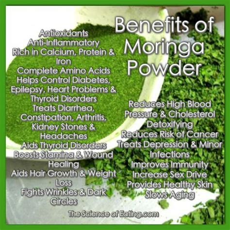 10 Types Of Tea And Their Health Benefits Moringa Benefits Moringa