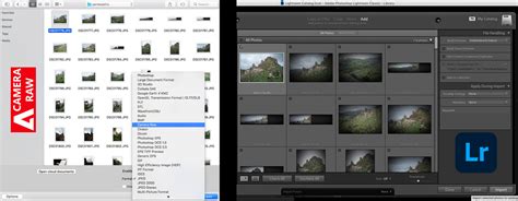 Adobe Camera Raw Vs Lightroom Which Is Best