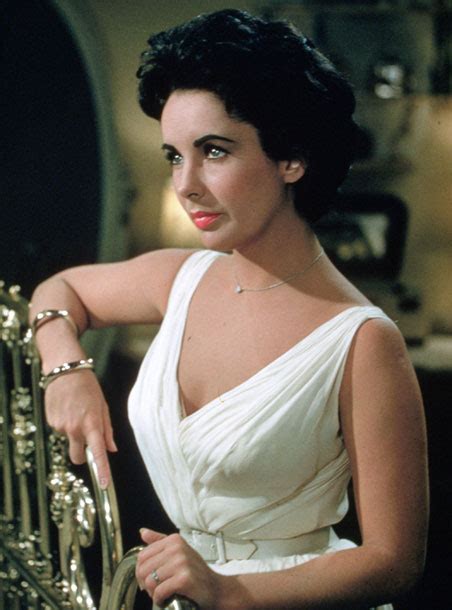 Cat On A Hot Tin Roof The Dreamstress