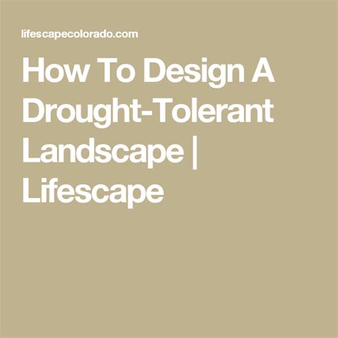 How To Design A Drought Tolerant Landscape Lifescape Drought