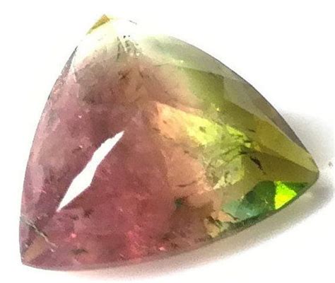 NL FE20 Natural Bio Watermelon Tourmaline Carved Slice Etsy