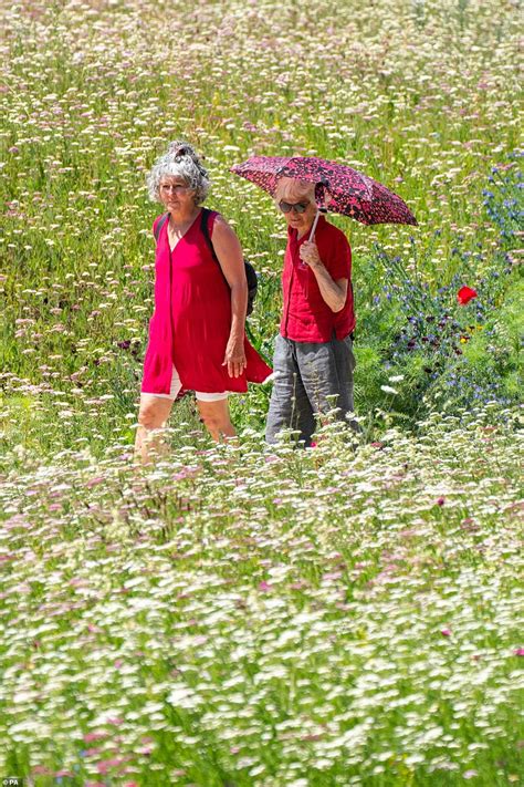 National Heatwave Emergency Could Be Declared In Uk Level Four