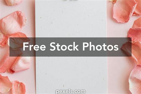 Filipino Clip Art Photos Download The Best Free Filipino Clip Art