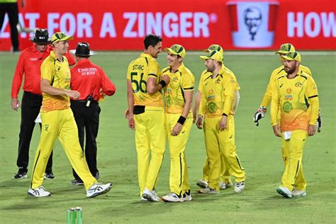 Mitchell Starc celebrates the dismissal of Glenn Phillips ...