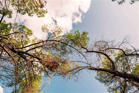 Alta Murgia National Park Imaginapulia