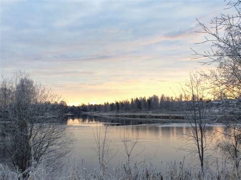 Bildet landskap tre natur myr villmark snø vinter Sky