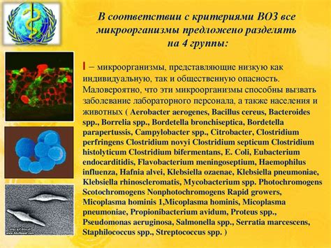 Общая характеристика микроорганизмов (I-IV групп) по степени ...