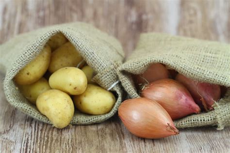 International Onion And Potato Expert Visiting New Zealand Potatoes