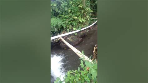 Mancing Di Sungai Air Jernih Strek Ikan Uceng Lur Youtube