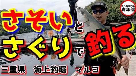 【釣り・海上釣堀】苦手なマルヨを攻略 さぐって、誘って、魚を射止める！ Youtube