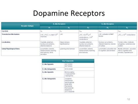 Neurotransmitter - Dopamine