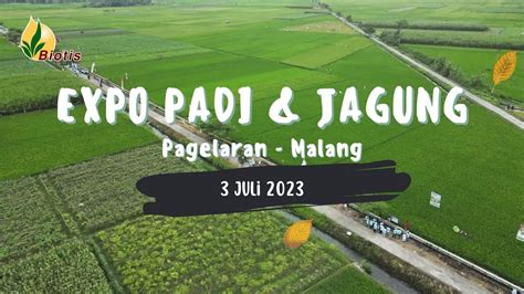 EXPO MULTICROP PADI JAGUNG PAGELARAN MALANG PT BIOTIS AGRINDO