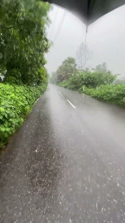 সকাল বেলা কি বৃষ্টি সাপে ধরে এই ভাড়িতে🌧️🌧️সকাল সাপের 1million