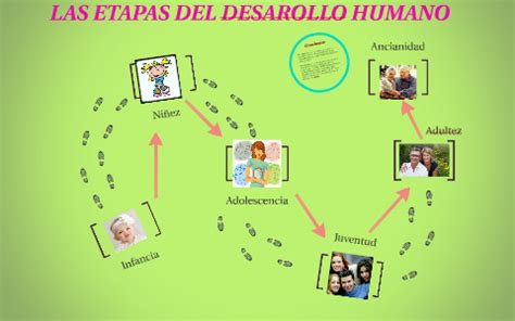 Las Etapas Del Desarollo Humano By Angelica Huertas Sosa