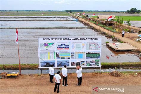 Pengamat Proyek Food Estate Menjawab Krisis Pangan Jangka Panjang