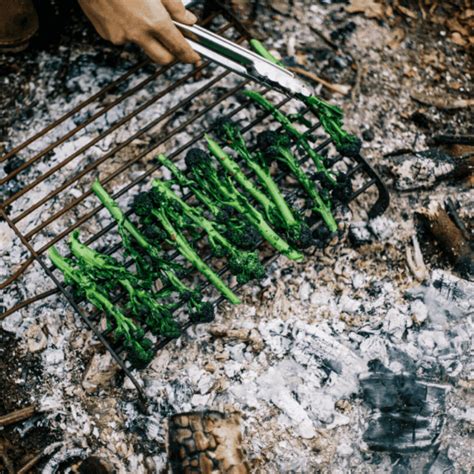 Charred Purple Sprouting Broccoli The Salt Box