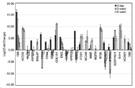 Relative Fold Change In The Gene Expression Between 3 Day 3 Week