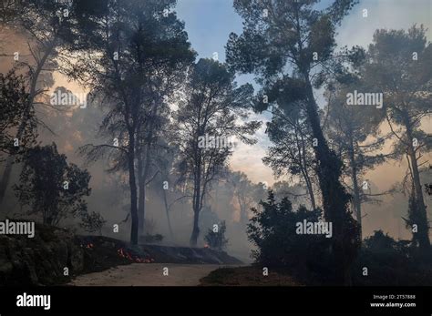 An Area Affected By Fire On November 3 2023 In Ador Valencia